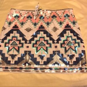 Sequin Skirt